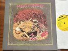Meat Puppets debut 80's US punk SST Thermidor NM  original pressing With Insert