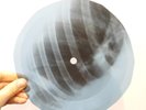 LED ZEPPELIN GOING TO CALIFORNI X-Ray USSR Record Roentgen Bone Ribs Music Vinyl