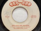 RARE Funk Sweet Soul 45 THE JUNGLE RAT U.S.A. Just Love One Another DISCOS NINO