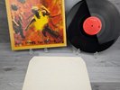 ini Kamoze- Here Comes The Hotstepper 12” 33rpm