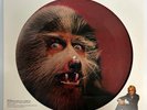 WARREN ZEVON  Werewolves Of London Picture Disc Single Promo 12