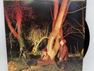 Echo And The Bunnymen - Crocodiles - 1980 US 1st Press (NM) Ultrasonic Clean