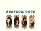 Blossom Toes We Are Ever So Clean (Vinyl) 12