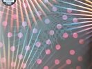 Loop - Twelves 3 x Vinyl, LP, Compilation