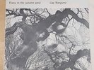 VG+ Gap Mangione Orig 1968 Diana in the Autumn Wind LP GRC 9001 Dub Vinyl
