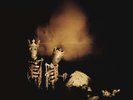 Pearl Jam Riot Act Double Vinyl LP New Sealed