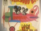 The Beatles Picture Sleeve/45 Hello Goodbye Germany Odeon O 23660 Airplane Cover
