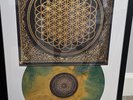 Bring Me The Horizon Sempiternal Vinyl Patina Rust Newburry Comics Exclusive