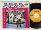 The Rolling Stones 