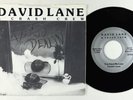 Funk Boogie/Modern Soul 45 - David Lane - You Gave Me Love - Ill Lane NM