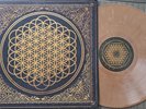 Bring Me The Horizon Sempiternal Brown Marble Vinyl