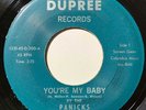 The Panicks - You're My Baby / Lots Of Pretty Girls (7