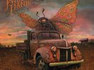 Dirty Side Down by Widespread Panic (2xLP, 2010) - Unsealed, Teat Played.
