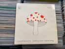 MUSHROOM - Early One Morning - IRISH 1st PRESS LP 1973 POSTER + INNER FOLK PSYCH
