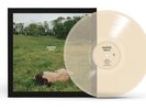 Kacey Musgraves Deeper Well Transparent Cream Vinyl Nude Alternative Cover
