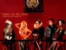 PANIC AT THE DISCO A Fever You Cant Sweat Out LP SEALED* Reissue Vinyl/2006 Alb