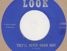 Freddie Chavez They'll Never Know Why Look  Soul Northern Motown