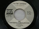 Thirteenth Floor Elevators 45 Rpm Record I've Got Levitation PROMO