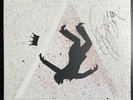 DJ SHADOW Autographed Signed Live In Manchester Mountain Has Fallen Tour 2-LP