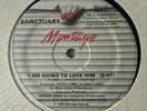 Sanctuary - I am Going To Love Him 12