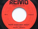 RAFAEL LABASTA Y SU ORQUESTA Mucho Guaguanco 'Aguanile' / Sanson Batalla REMO 45