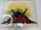 BOB MARLEY & THE WAILERS UPRISING ISLAND RECORDS ILPS9596 USA 1980 NM/VG+