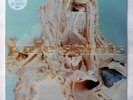 PALE SAINTS - In Ribbons - 2023 30th Reissue 2x12” Clear Vinyl Set - New/Sealed