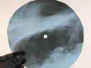 LED ZEPPELIN RAMBLE ON X-Ray USSR Record Roentgen Bone Ribs Music Vinyl