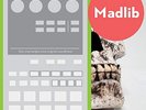 MADLIB - The Beats (ovwat ) - 10