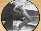 Madonna Erotica LP Vinyl Picture Disc 12” Rare