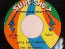 Northern Soul 45 TORNADOES Little Sally Walker SURE-SHOT VG++ promo HEAR b