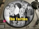The Turtles - (So) Happy together 12