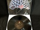 Ramp – Come Into Knowledge | Classic Funk Soul Vinyl LP | 2008 Reissue