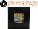 Throwing Muses The Real Ramona Vinyl LP + Inner Sleeve A1 B1 Pressing - EX