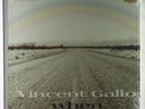 Vincent Gallo - When LP - Warp UK SEALED
