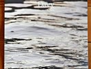 Coconut Records - Davy LP
