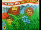 The Beach Boys ENDLESS SUMMER, Double LP, Poster, Gatefold, Capitol PROMO 1974