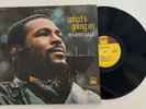 Marvin Gaye 