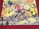 Counting Crows Butter Miracle Complete Sweets Vinyl Record, New, Sealed