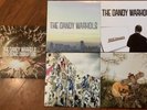 THE DANDY WARHOLS  live Rockmaker distortland This Machine why you so FREE SHIPP