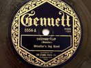 WHISTLER’S JUG BAND - ‘CHICAGO FLIP/ JERRY O’ MINE’ 1924 GENNETT 78 VERY RARE