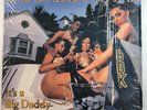 BIG DADDY KANE It's A Big Daddy Thing OG HIP HOP LP NM in open shrink wrap