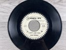 Chan Romero I Don’t Care Now / My Little Ruby 45 RPM 7” Vinyl Del Fi Promo
