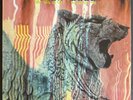 Amon Duul II Wolf City Rare Orig 1972 United Artists Records Gatefold Prog LP