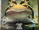 Froggie Beaver - From The Pond - VG+ 1973 Vinyl LP - DSI 7301 Private Psych Prog
