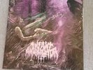 INFANT ANNIHILATOR LP ELYSIAK GRANDEVAL GALERIARCH EX +++++ VINYL PINK LP