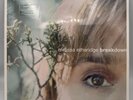 Melissa Etheridge, Breakdown (10-track LP + 2-track 7
