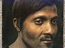 Truckin With ALBERT COLLINS - BLUE THUMB BTS-8 LP Vinyl Record - NM-