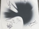 Linkin Park: A Thpusand Suns Signed Vinyl