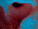 Pink Floyd Meddle (Gatefold LP Jacket, 180 Gram Vinyl) Records & LPs New